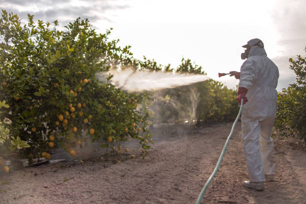 Best Pest Control for Homes  in Red Bank, SC
