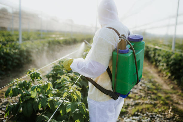 Best Emergency Pest Control  in Red Bank, SC